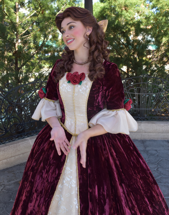 belle christmas dress